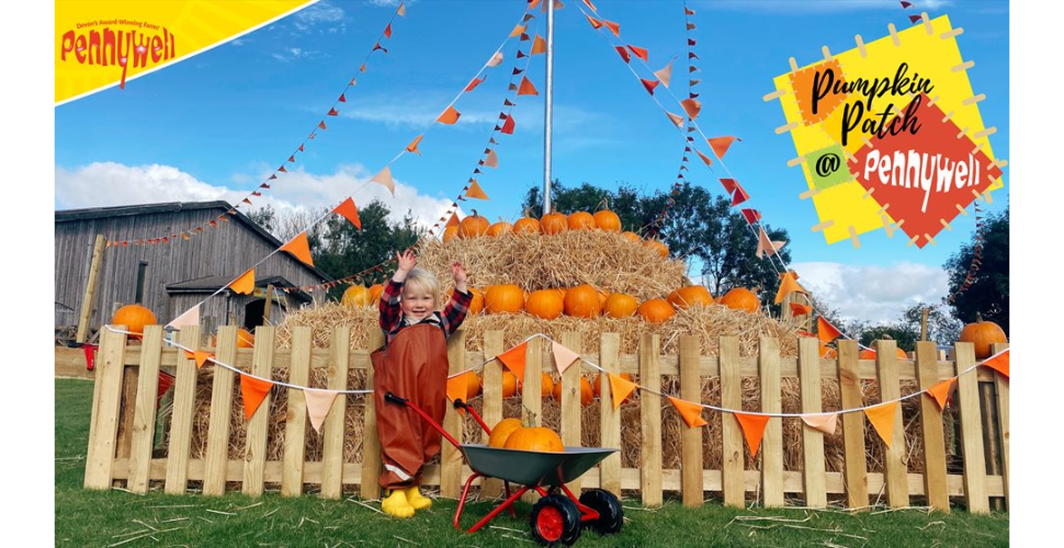 Pumpkin Patc at Pennywell Farm